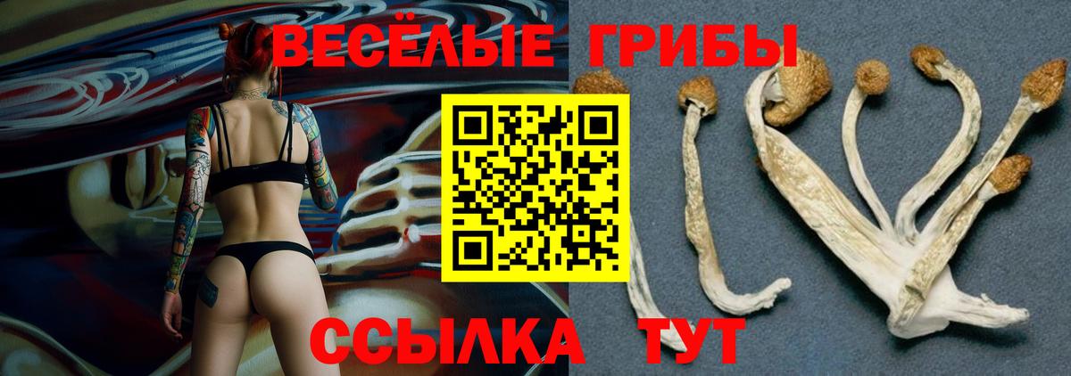купить наркотики цена  Вход с VPN  Лабинск  Галлюциногенные грибы Cubensis 